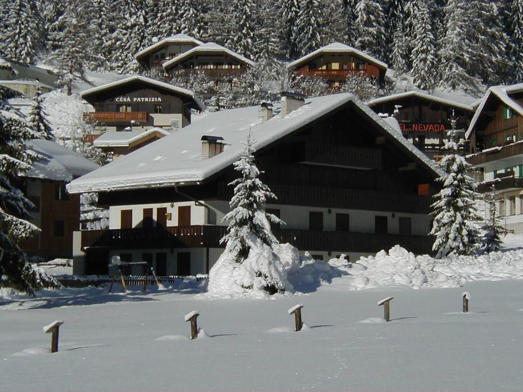 Aliza Apartment Campitello di Fassa Room photo